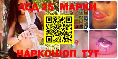гидра Новозыбков